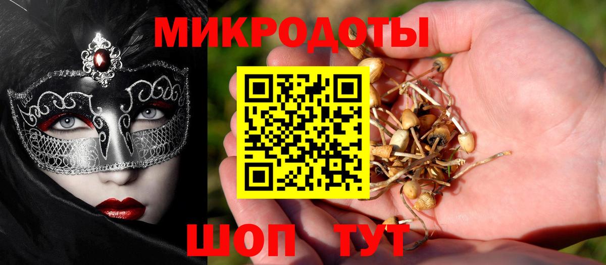 Псилоцибиновые грибы ЛСД  Галлюциногенные грибы ЛСД  Вход с VPN  Великий Устюг 